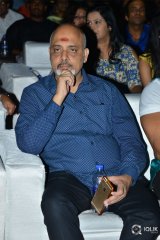 Naa Peru Surya Naa Illu India Pre Release Event Photos